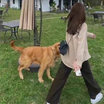 圣公会主学堂